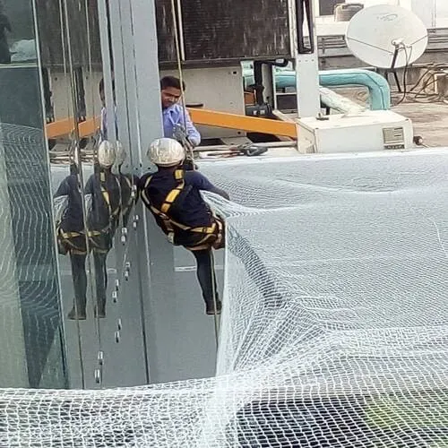 Bird Net Installation